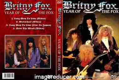 britny_fox_year_of_the_fox.jpg